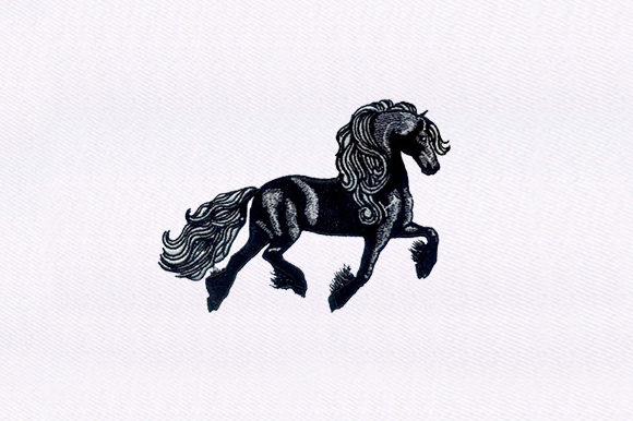 Beautiful Black Horse