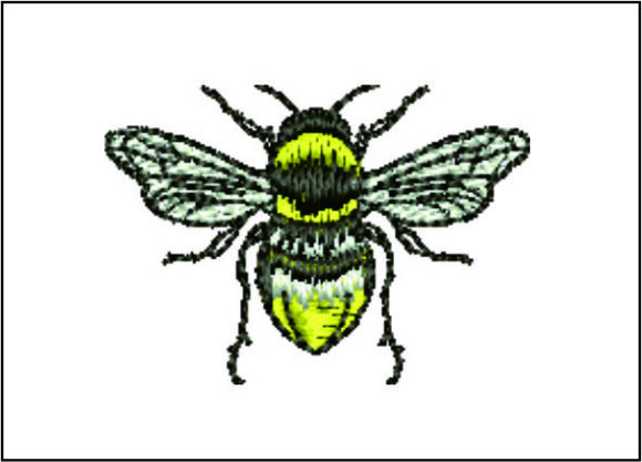 Bee Detailed Embroidery Review
